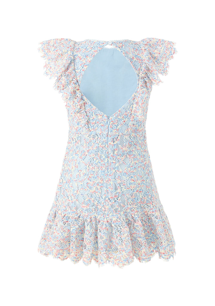 Ryleigh Embroidered Mini Dress