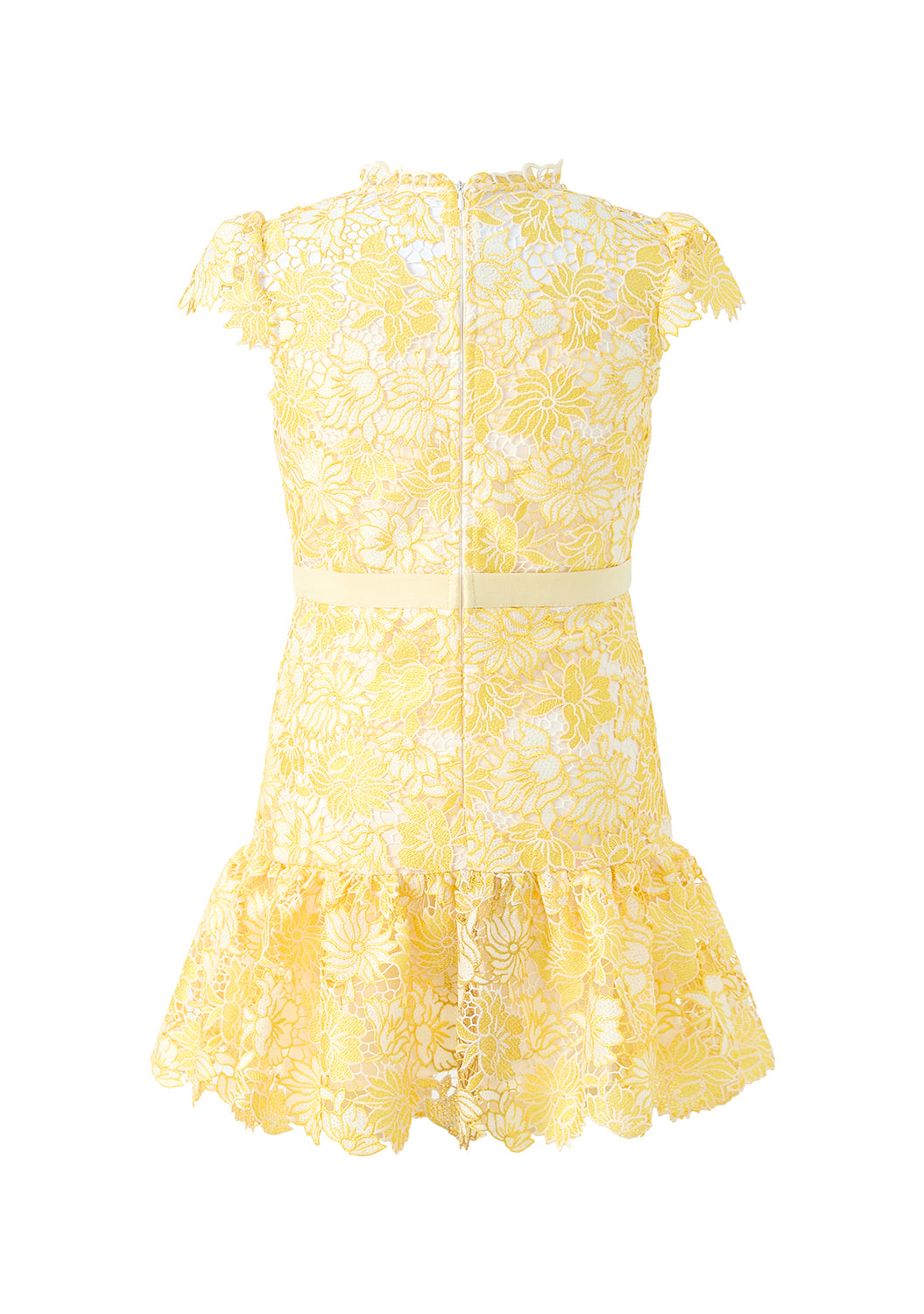 Cassandra Embroidered Mini Dress