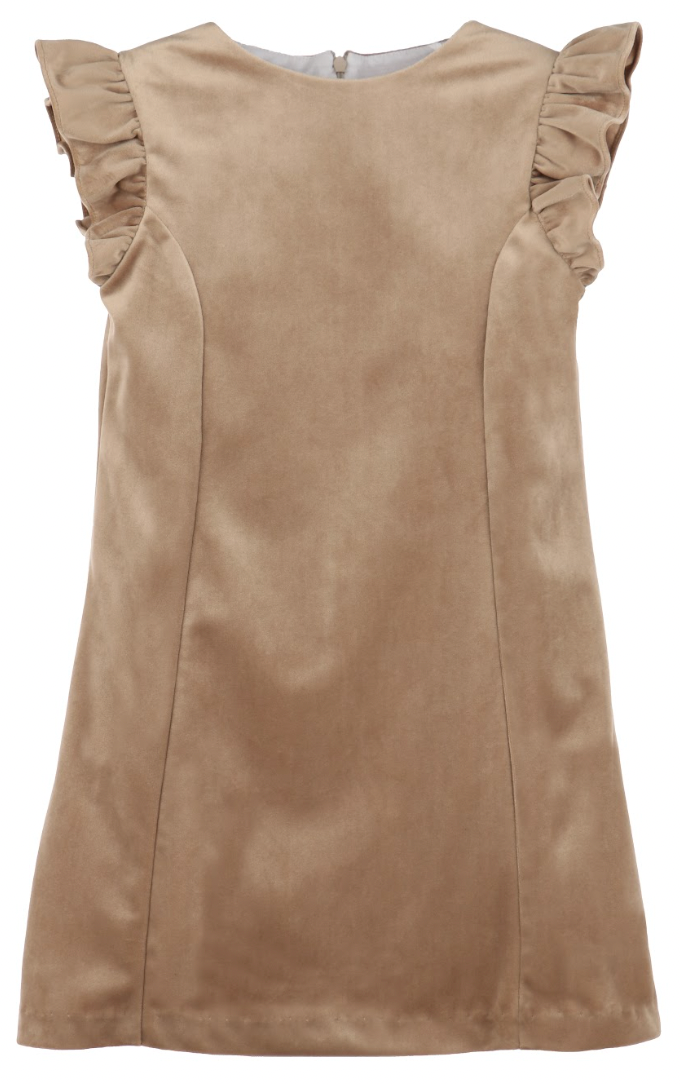 Deluxe Velvet Shift Dress