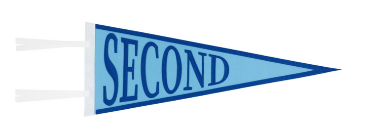 Picture Perfect Pennants