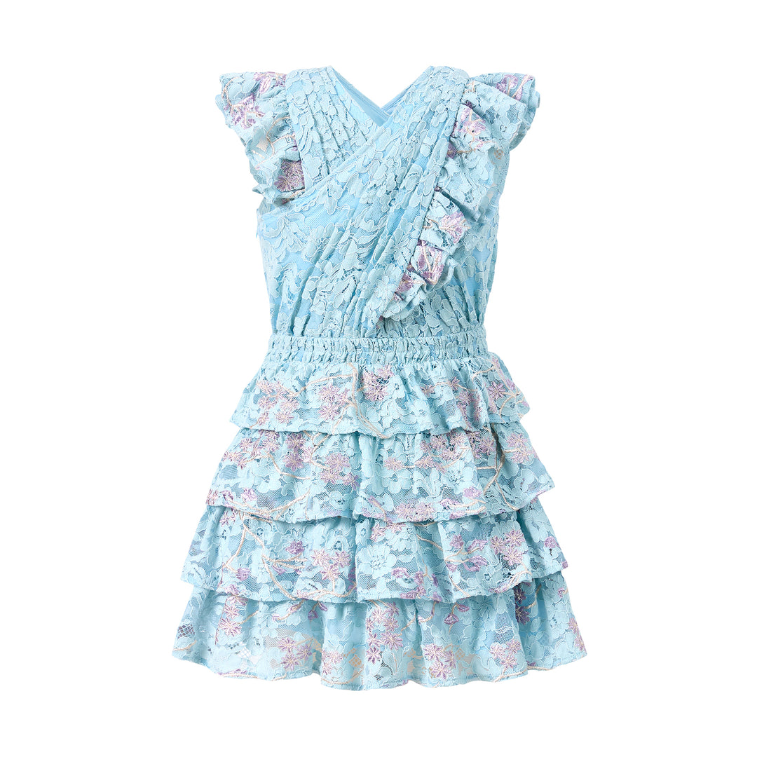 Angelica Embroidered Mini Dress