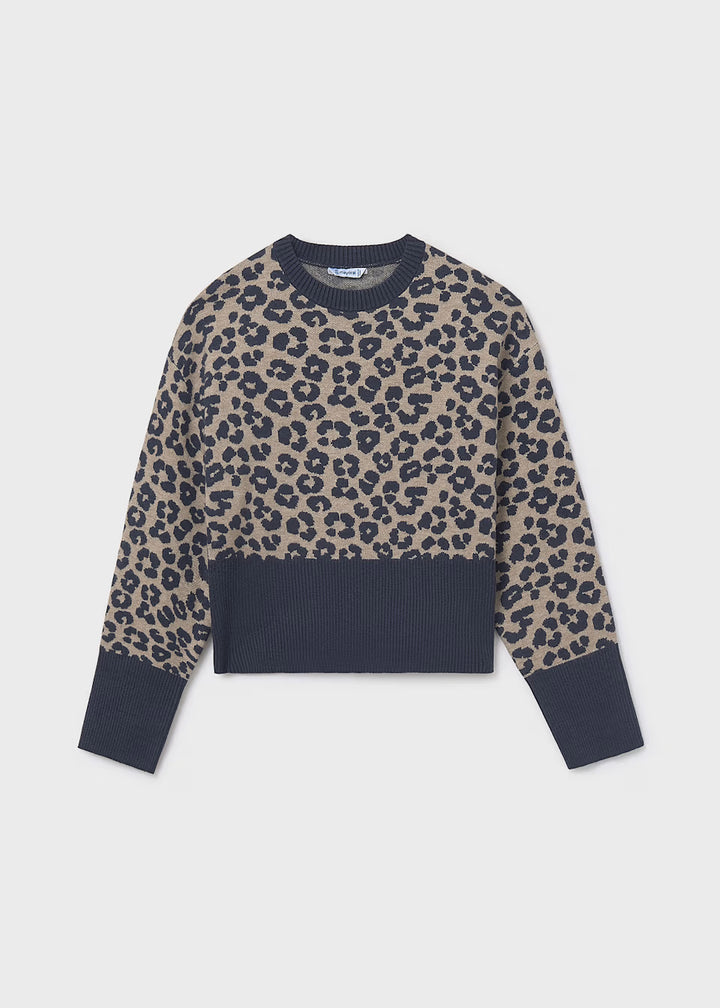 Animal Print Sweater