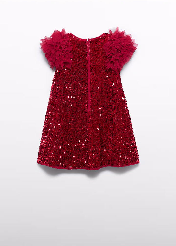 Sequin Velvet Dress