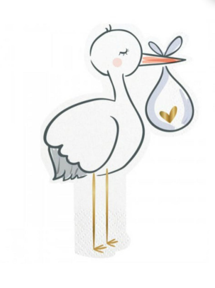 Gender Reveal Confetti Cannon