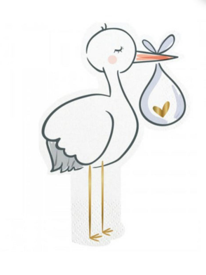 Gender Reveal Confetti Cannon